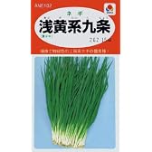 葉ネギ（葱）　浅黄系九条　種子 [タキイ種苗]