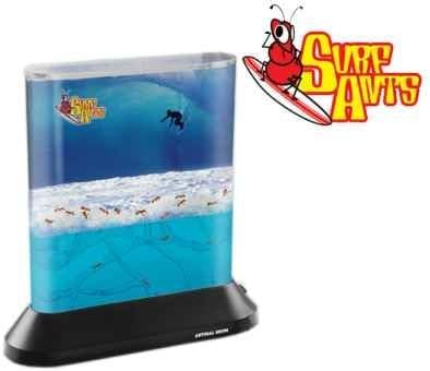 Antimal House Surf Ants