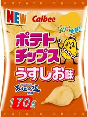 カルビーポテトチップスうすしお味ビッグバッグ1箱170g12袋入