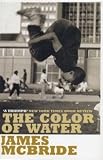 The Color of Water: A Black Man s Tribute to His White Mother