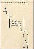 Dan Perjovschi: Postmodern Ex-Communist (Colectia Public)