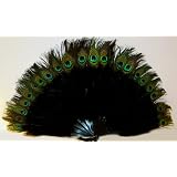 Black Marabou Feather Fan with Peacock Tips