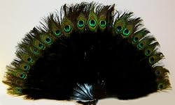 Black Marabou Feather Fan with Peacock Tips