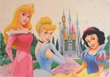 Disney Princess Castle Clear Place Mat