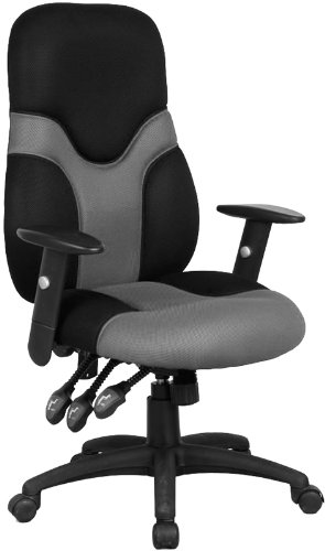 Ergonomic Office Chair - High Back Mesh Contemporary Executive Swivel Chair - BT-6001-GYBK-GG