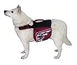 Kyjen Outward Hound Excursion Dog Backpack, Large, Colors Vary Kyjen Outward Hound Excursion Dog Backpack, Large, Colors Vary
