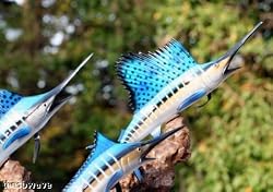 Taxidermy Fiberglass Sailfish Marlin Sculpture 3 Fish