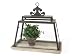 Pack of 2 Water's Edge Metal and Glass Terrarium Boxes 19.5"