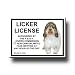 Petit Basset Griffon Vendeen Licker License Fridge Magnet
