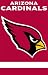 Arizona Cardinals Applique Embroidered Banner Flag 44x28 NFL Football Fan Shop Sports Team Merchandise