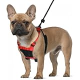 Mesh Anti Pull Harness