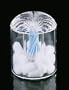 Acrylic Seashell Cotton Ball And Swab Holder