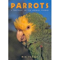 Parrots (Portraits of the Animal World)