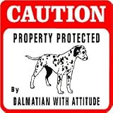CAUTION: DALMATION PROTECTION dog warn sign