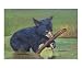 Baby Bear Playing Animals Giclee Poster Print by Lucinda Knowlton, 24x20