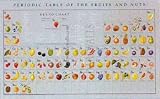 Periodic Table of Fruits and Nuts, Art Poster by Weissman