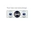 Penn State Golf Ball Set