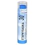 Boiron Homeopathic Medicine Staphysagria, 30C Pellets, 80-Count Tubes (Pack of 5)