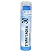 Boiron Homeopathic Medicine Staphysagria, 30C Pellets, 80-Count Tubes (Pack of 5)