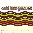 Acid Jazz Grooves by Various Artists