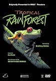Buy : Tropical Rainforest (Large Format)