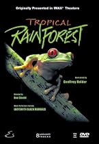 Tropical Rainforest (Large Format)