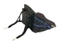 Crazy Creek S.O.T. Kayak Chair II