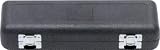 DEG C24-MP1 Piccolo Case