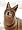 The Daily Coyote: A Story of Love, Survival, and Trust in the Wilds of Wyoming
