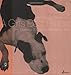 A Girl's Best Friend: The Meaning of Dogs in Women's Lives