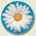 White Daisy Auto Coaster - absorbant stone Coaster for Your Car cup holder