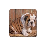 Bulldog Rubber Square Coaster (4 pack)