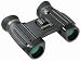 Steiner 8x22 Predator Binocular