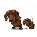 Dachshund Dog Mouse Pad & Coaster Set