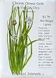Garlic Chives Seeds 400 Seeds