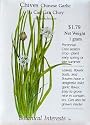 Garlic Chives Seeds 400 Seeds