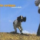 Emmerdale by Cardigans