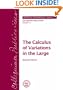 The Calculus of Variations in the Large (Colloquium Publications)