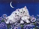 Dufex Picture Prints 158x209mm - Moonlight Rendezvous, pk of 5