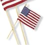 Cloth Flag 4 x 6 (1 count)