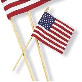 Cloth Flag 4 x 6 (1 count)
