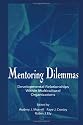 Mentoring Dilemmas: Developmental Relationships Within Multicultural Organizations (The Applied Social Research Series)