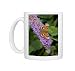 Photo Mugs of Peacock Butterfly on Buddleia Bush (Buddleia davidii) from Ardea Wildlife Pets