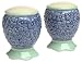 Pfaltzgraff Summer Breeze Sculpted Stoneware Salt and Pepper Set