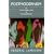 Postmodernism: Or, the Cultural Logic of Late Capitalism