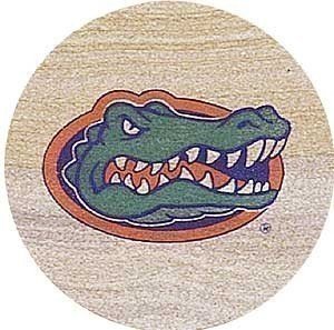 Thirstystone Natural Sandstone Set of 4 Coasters University of Florida