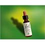 Bach Essence Holly 20 Liquids