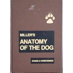 Miller's Anatomy of the Dog - Malcolm E. Miller