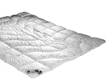 Badenia Bettcomfort 03631840156 Steppbett Irisette Dreams Mono 200 x 220 cm wei&szlig;