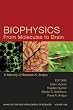 Annals of the New York Academy of Sciences, Biophysics From Molecules to Brain: In Memory of  Radolslav K. Andjus (Volume 1048)